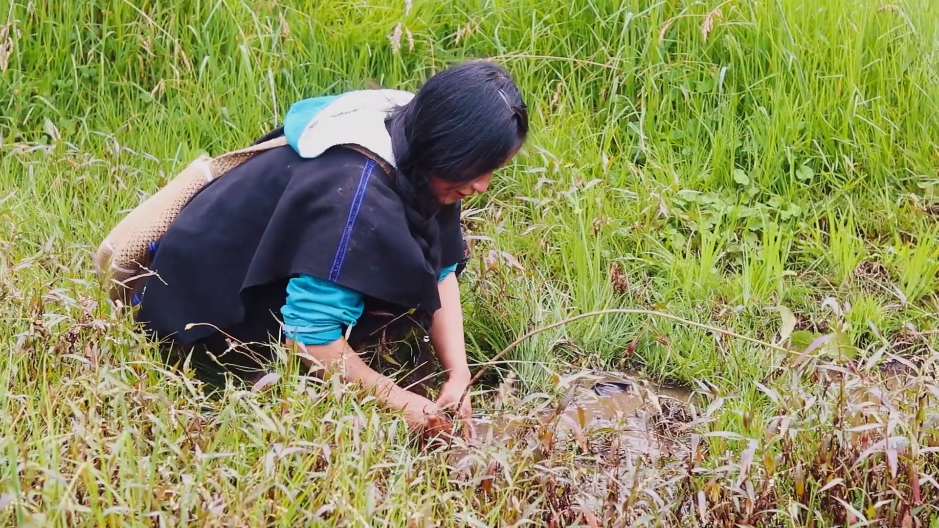 Image shows a female member of the Kisgó indigenous reservation planting native trees to restore ecological health
